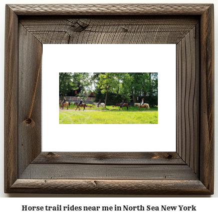 horse trail rides near me in North Sea, New York